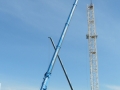 LTM 1200 + LTM 1090 Puutarhatie 002