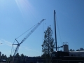A Syväniemi (7) 20170810_133238