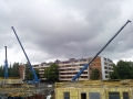 WP_000727